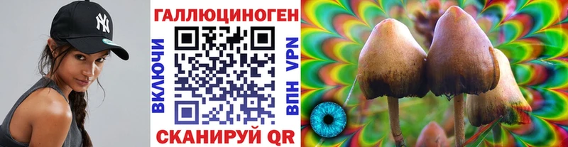 Псилоцибиновые грибы ЛСД  закладки  Славянск-на-Кубани 